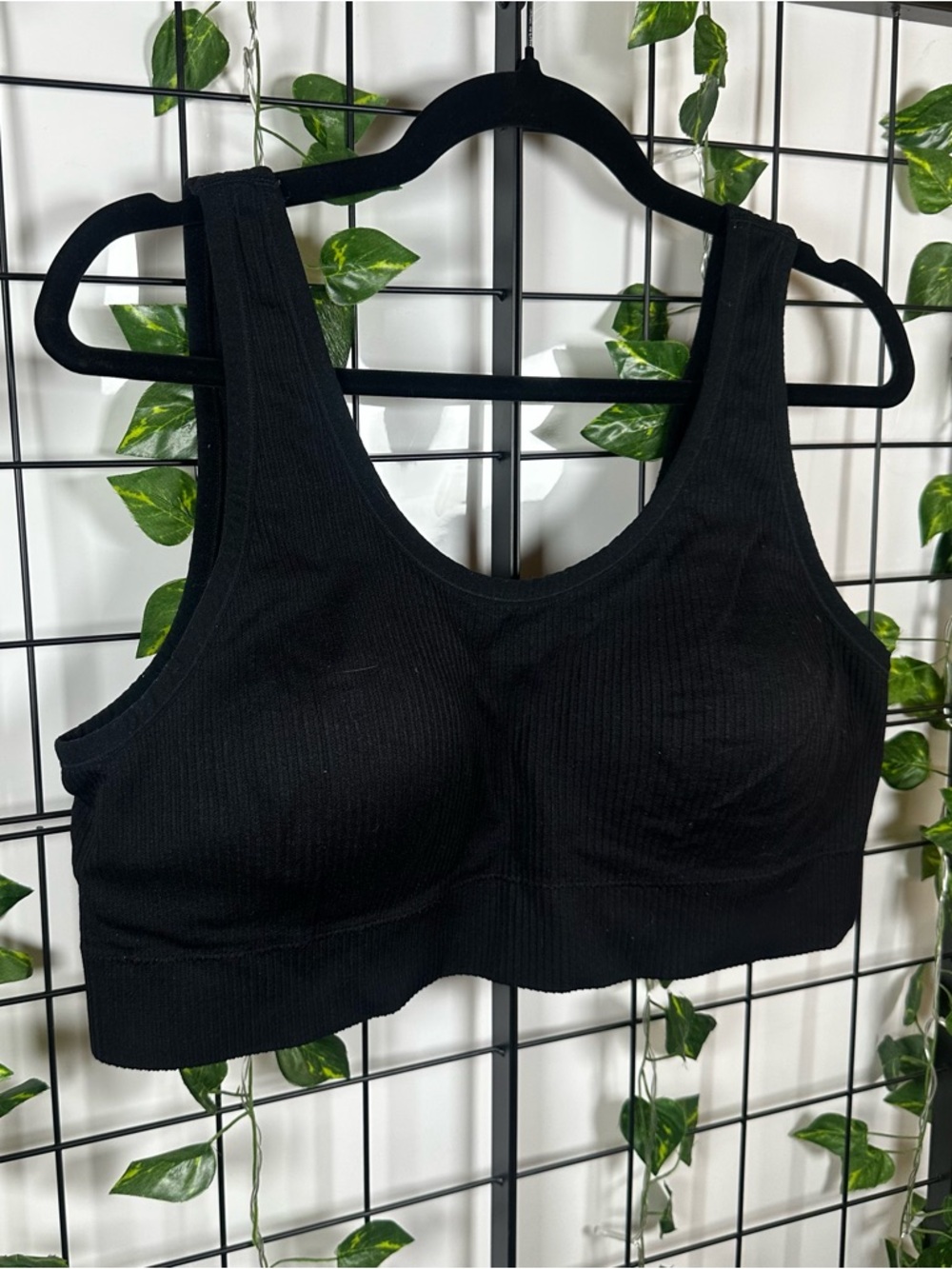Torrid Curve Black Lightly Lined Seamless Padded Sports Bra Size 4X